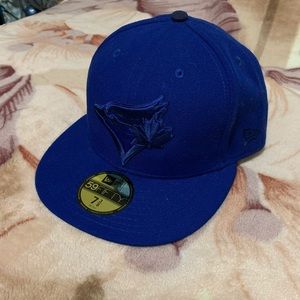 Blue jay's hat